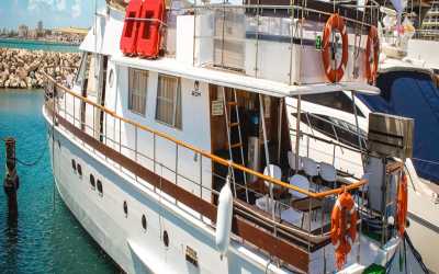 !tr_error=pl->rejs!, Wycieczka Dream of Turtles ST Georgios II rejs poranny z Ayia Napy - marzenie zobaczyć żółwie dla rodzin