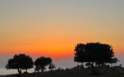 Wycieczka fakultatywna, Z Pafos do wąwozu Avakas Kanyon Mini Marathon