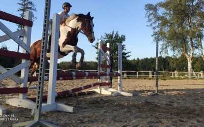 Obóz młodzieżowy, Obóz jeździecki z odznakami PZJ Runowo, 10 dni 10-18 lat