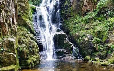 Obóz młodzieżowy, "Skalniak" Góry Stołowe - obóz wędrowny (łatwy) GÓRY (Góry, Polska) , 10 dni 13-17 lat